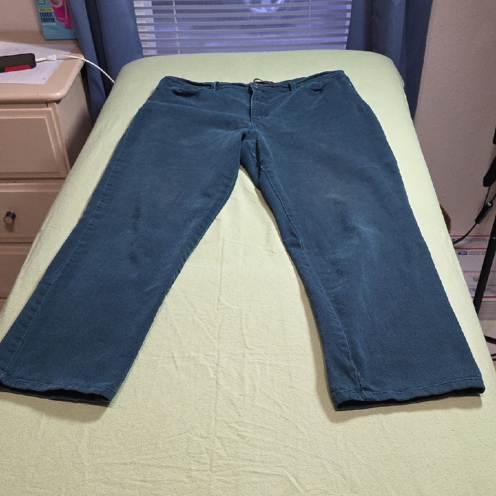 Gloria Vanderbilt-Pants-Size 14-Green